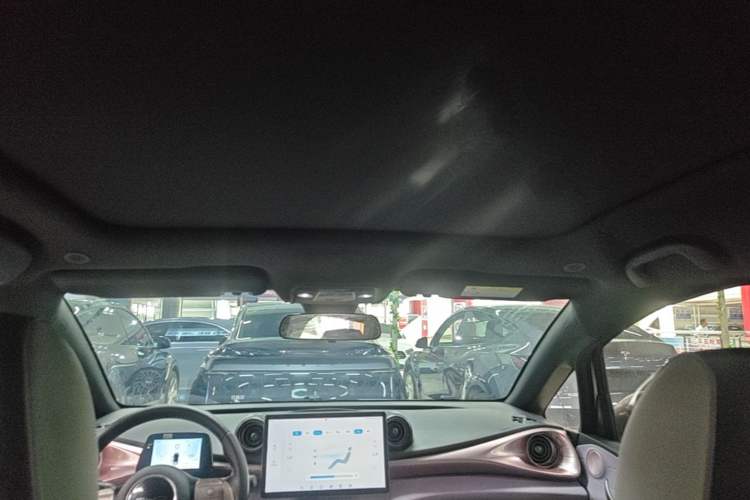 Used BYD Dolphin 2021 405 km Fashion Edition Headliner
