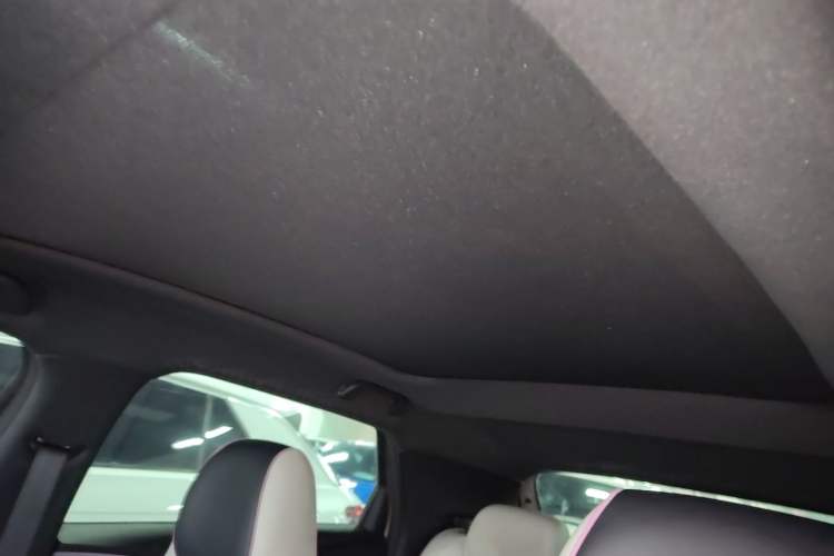 Used BYD Dolphin 2021 405 km Fashion Edition Headliner