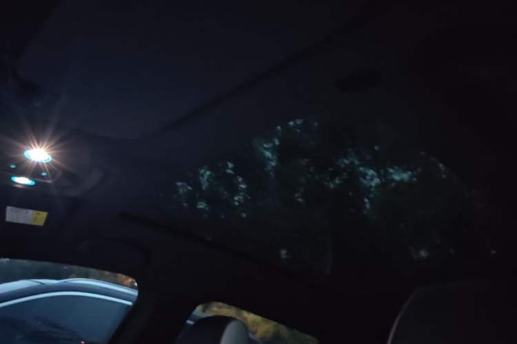 Used BYD Dolphin 2021 405 km Fashion Edition Headliner