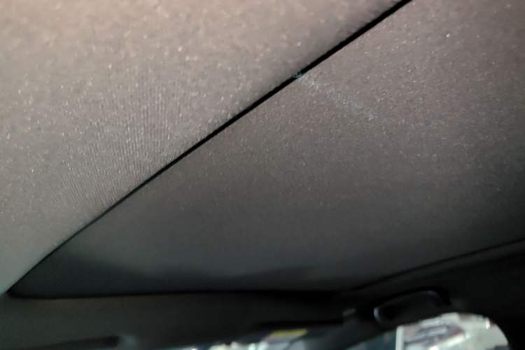 Used BYD Dolphin 2021 405 km Fashion Edition Headliner