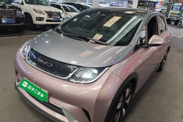 Used BYD Dolphin 2021 401km Knight Edition