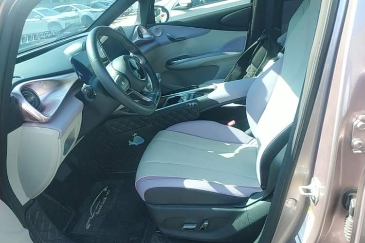 Used BYD Dolphin 2021 401km Knight Edition Left Front Seat