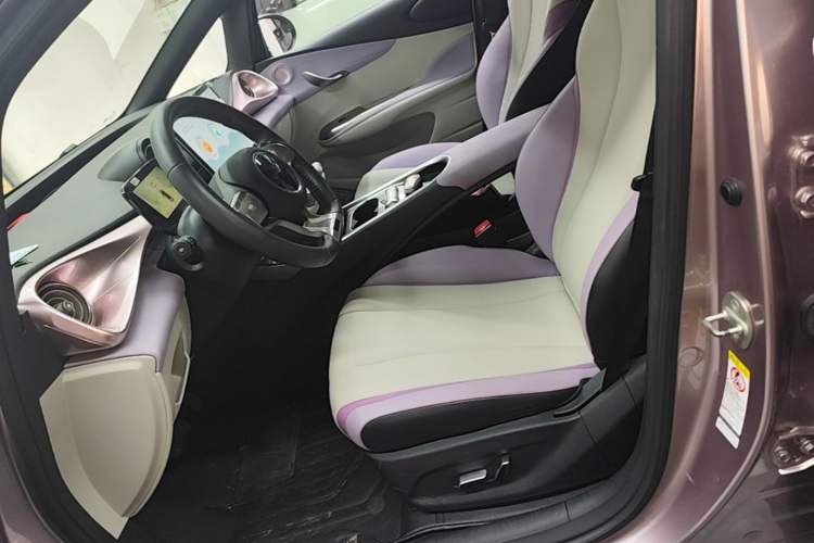 Used BYD Dolphin 2021 405 km Fashion Edition Left Front Seat