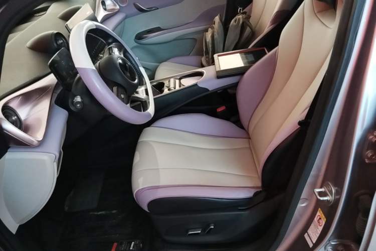 Used BYD Dolphin 2021 401km Knight Edition Left Front Seat