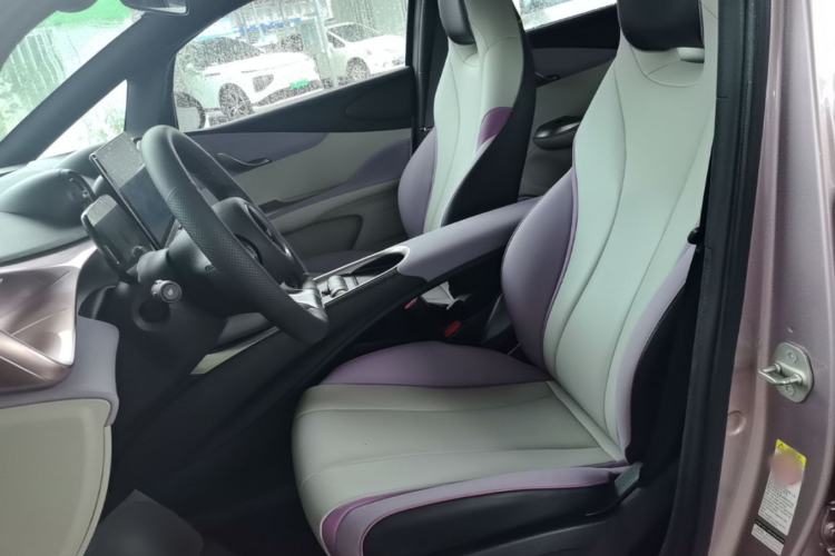 Used BYD Dolphin 2021 405 km Fashion Edition Left Front Seat