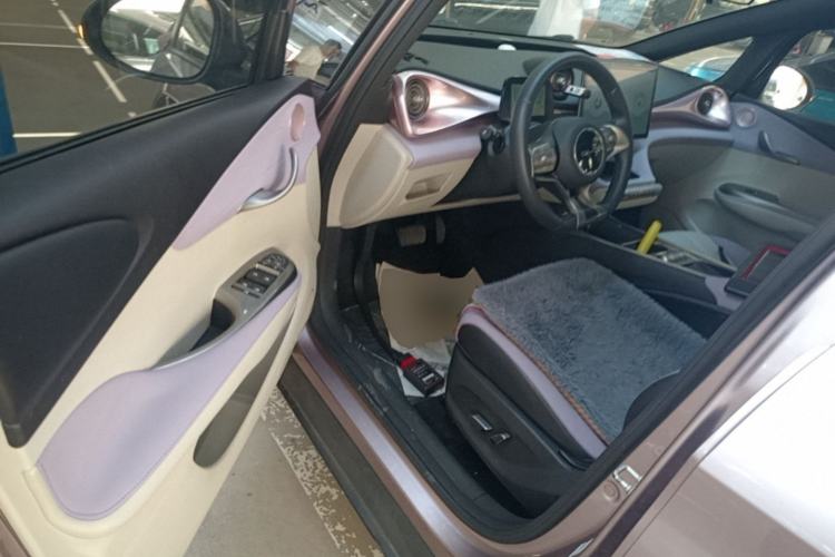 Used BYD Dolphin 2021 405 km Fashion Edition Left Front Seat