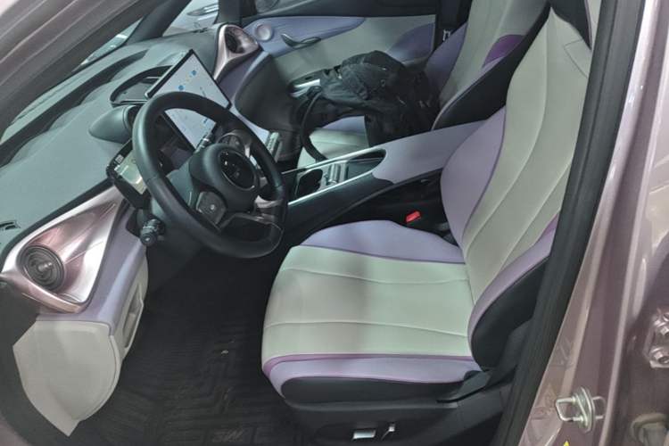 Used BYD Dolphin 2021 405 km Fashion Edition Left Front Seat