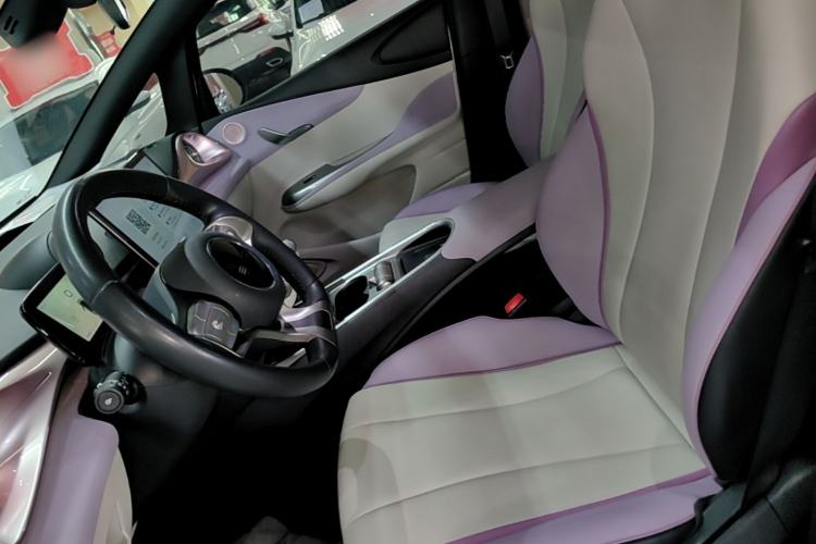 Used BYD Dolphin 2021 405 km Fashion Edition Left Front Seat
