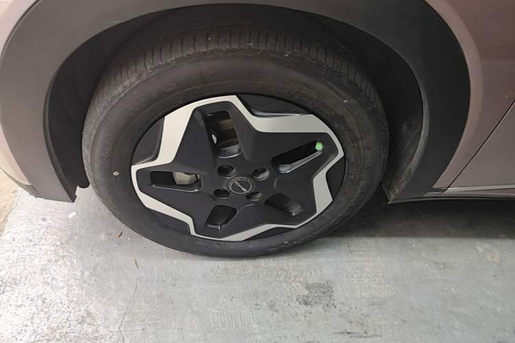 Used BYD Dolphin 2021 405 km Fashion Edition Left Front Wheel Hub