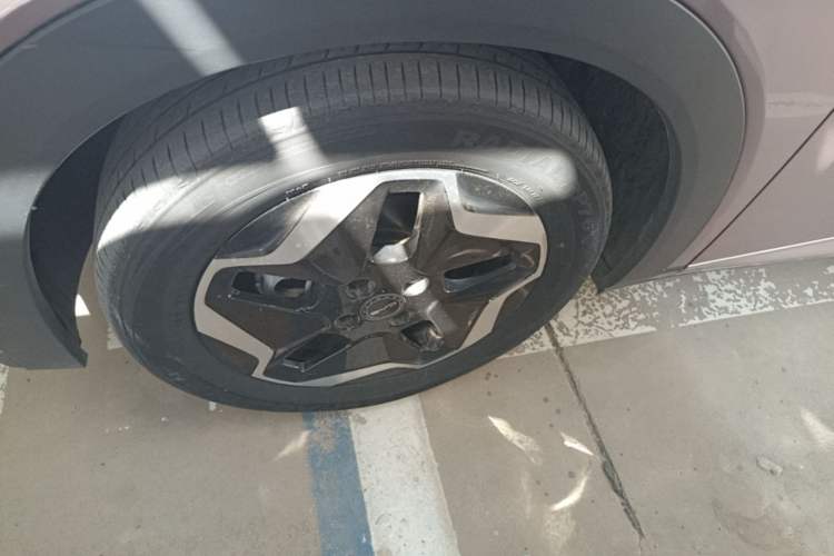 Used BYD Dolphin 2021 405 km Fashion Edition Left Front Wheel Hub