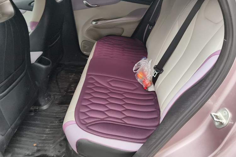 Used BYD Dolphin 2021 401km Knight Edition Left Rear Seat