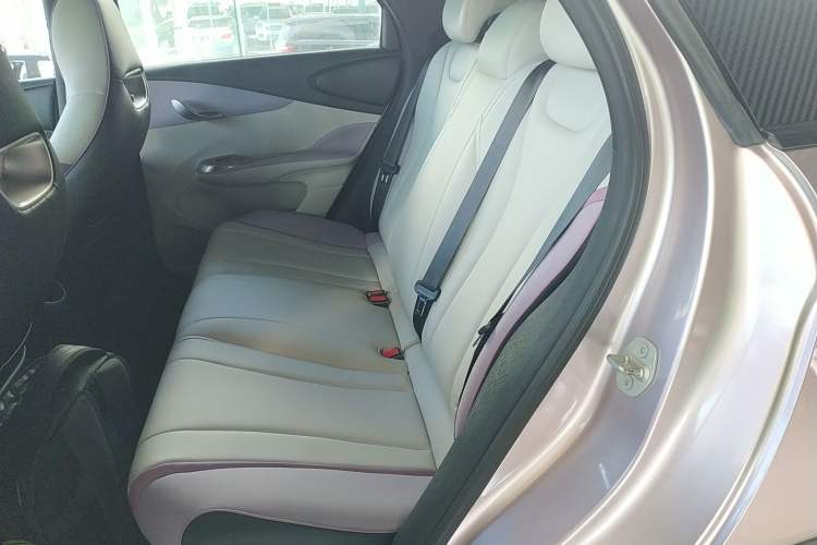 Used BYD Dolphin 2021 401km Knight Edition Left Rear Seat