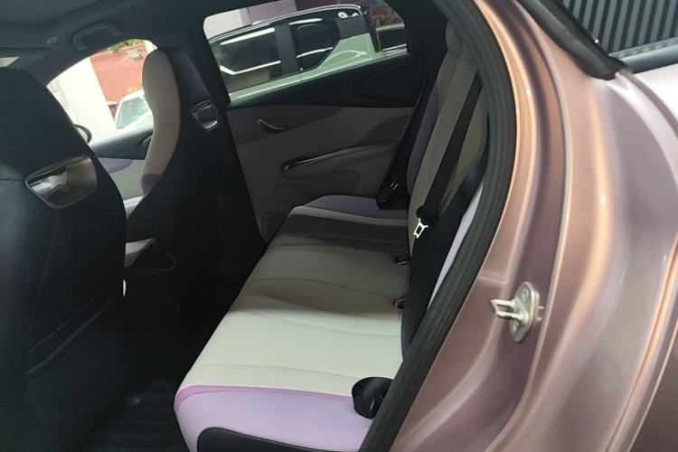 Used BYD Dolphin 2021 405 km Fashion Edition Left Rear Seat