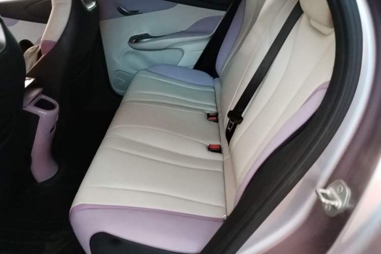 Used BYD Dolphin 2021 401km Knight Edition Left Rear Seat