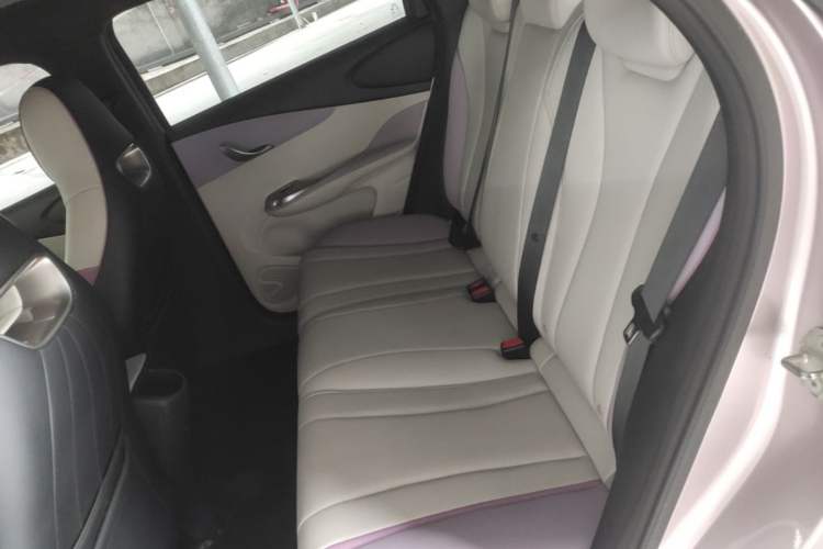 Used BYD Dolphin 2021 401km Knight Edition Left Rear Seat