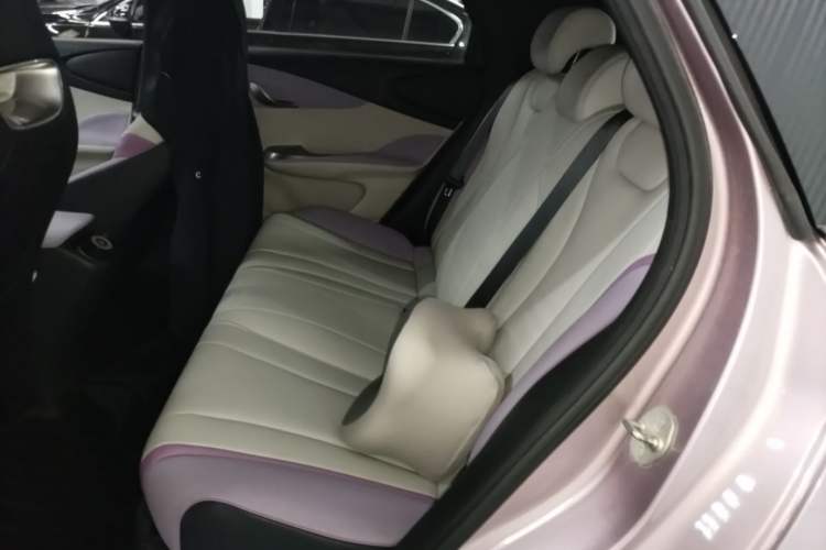 Used BYD Dolphin 2021 405 km Fashion Edition Left Rear Seat