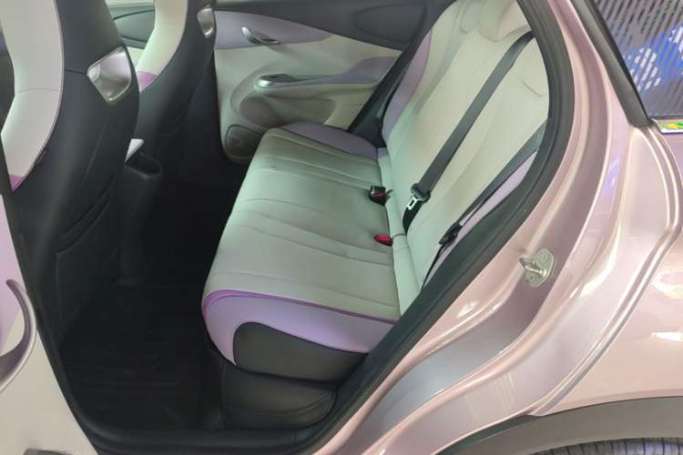 Used BYD Dolphin 2021 401km Knight Edition Left Rear Seat
