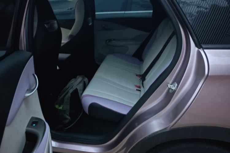 Used BYD Dolphin 2021 405 km Fashion Edition Left Rear Seat
