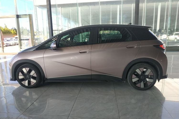 Used BYD Dolphin 2021 401km Knight Edition Left Side
