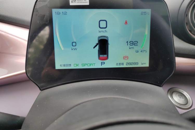 Used BYD Dolphin 2021 405 km Fashion Edition Odometer Close Up