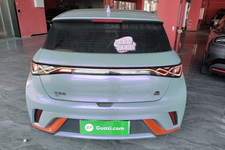Used BYD Dolphin 2021 405 km Fashion Edition Rear
