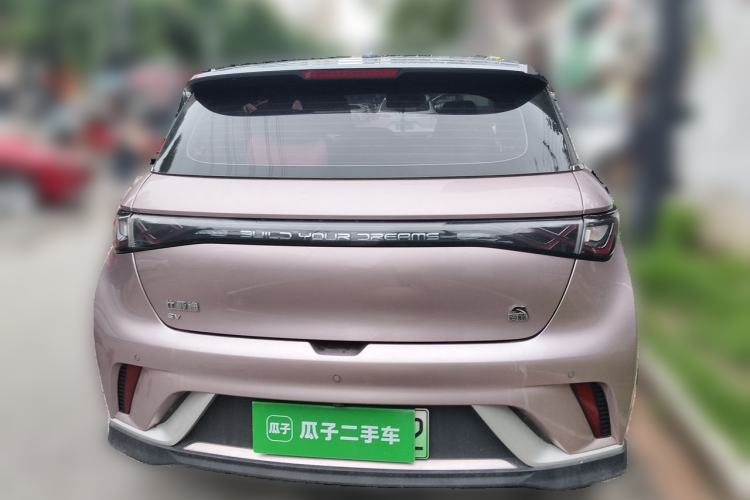 Used BYD Dolphin 2021 401km Knight Edition Rear