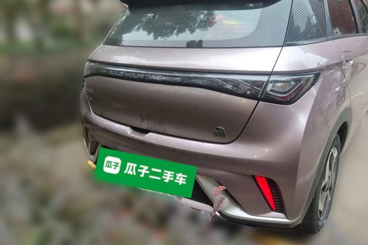 Used BYD Dolphin 2021 405 km Fashion Edition Rear
