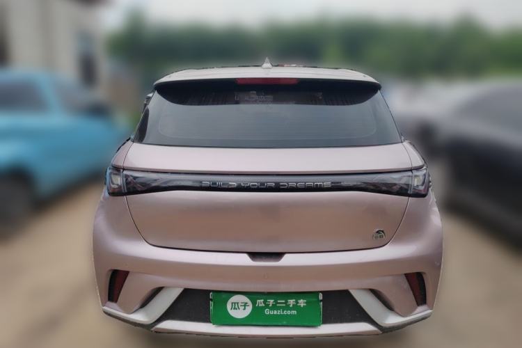 Used BYD Dolphin 2021 405 km Fashion Edition Rear