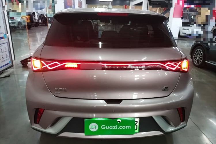 Used BYD Dolphin 2021 405 km Fashion Edition Rear