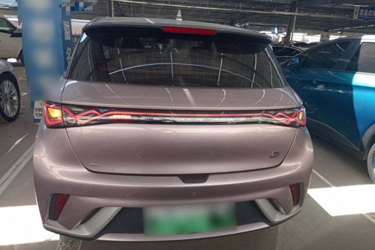 Used BYD Dolphin 2021 405 km Fashion Edition Rear