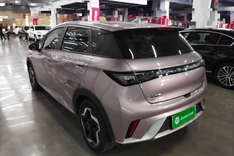 Used BYD Dolphin 2021 405 km Fashion Edition Rear Left 45 Deg