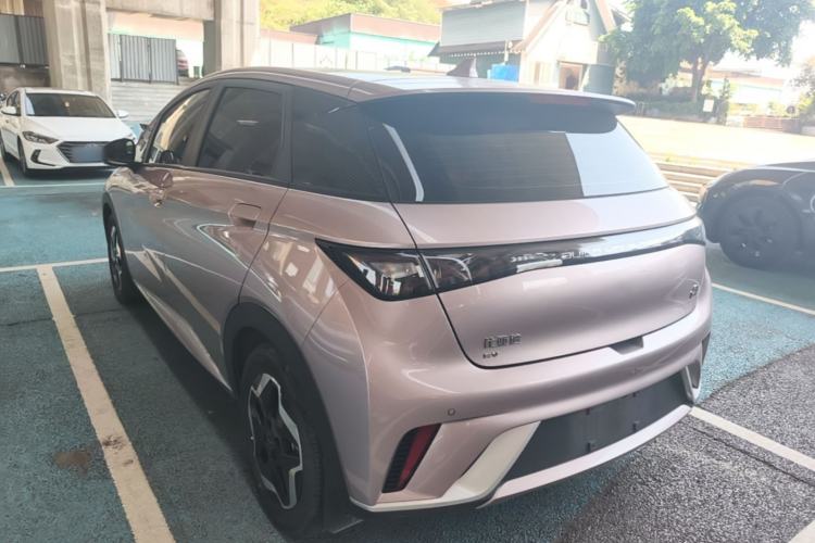 Used BYD Dolphin 2021 405 km Fashion Edition Rear Left 45 Deg