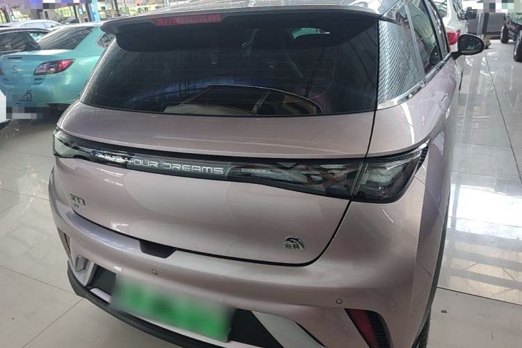 Used BYD Dolphin 2021 401km Knight Edition Rear