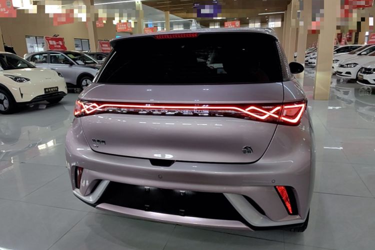 Used BYD Dolphin 2021 405 km Fashion Edition Rear