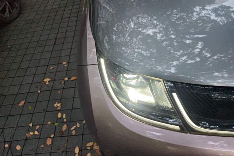 Used BYD Dolphin 2021 401km Knight Edition Right Front Headlight