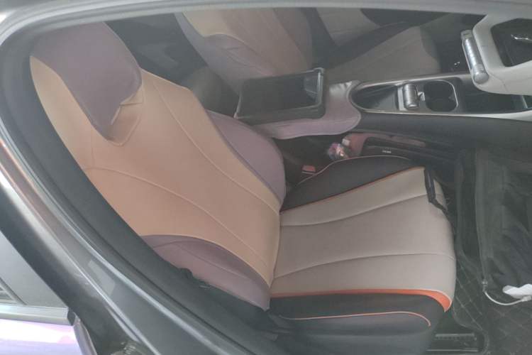 Used BYD Dolphin 2021 405 km Fashion Edition Right Front Seat