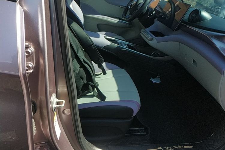 Used BYD Dolphin 2021 401km Knight Edition Right Front Seat