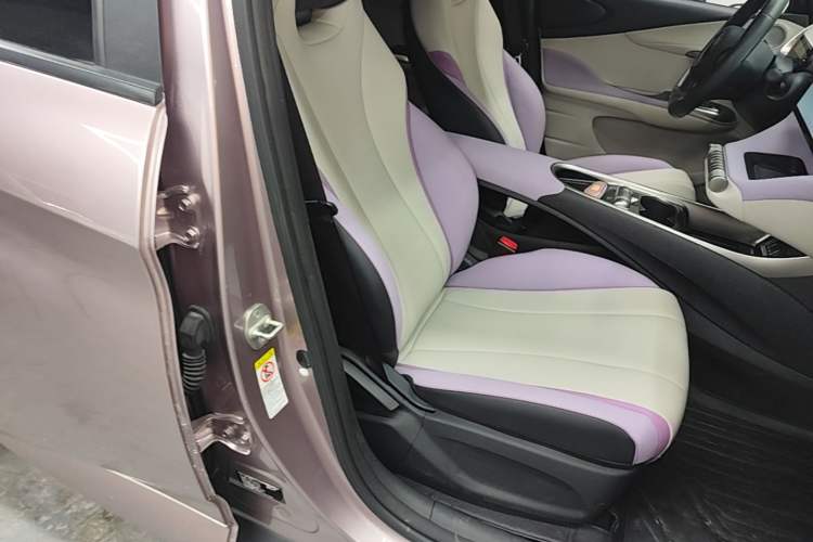 Used BYD Dolphin 2021 405 km Fashion Edition Right Front Seat