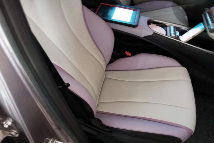 Used BYD Dolphin 2021 401km Knight Edition Right Front Seat