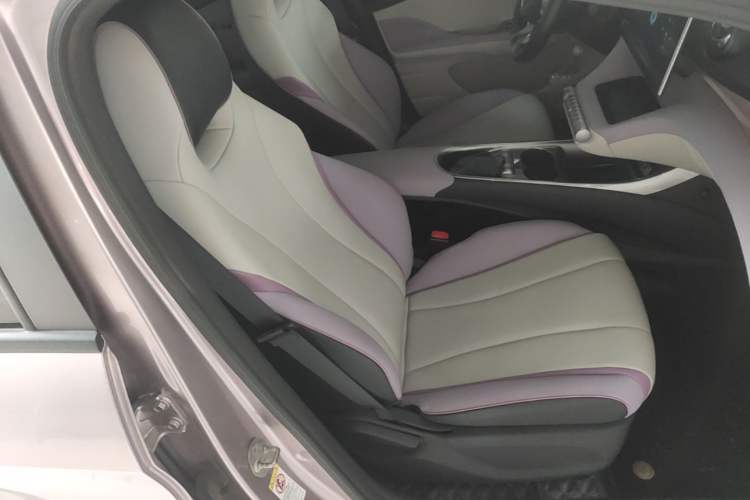 Used BYD Dolphin 2021 401km Knight Edition Right Front Seat