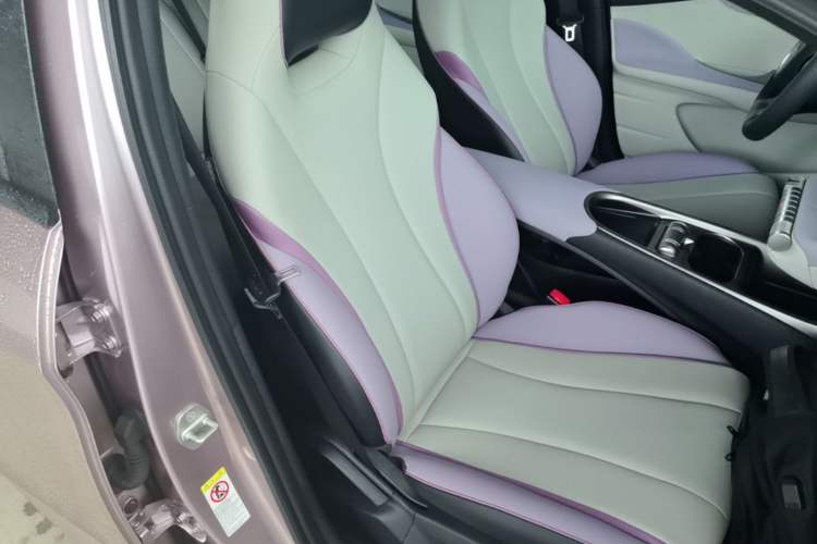 Used BYD Dolphin 2021 405 km Fashion Edition Right Front Seat