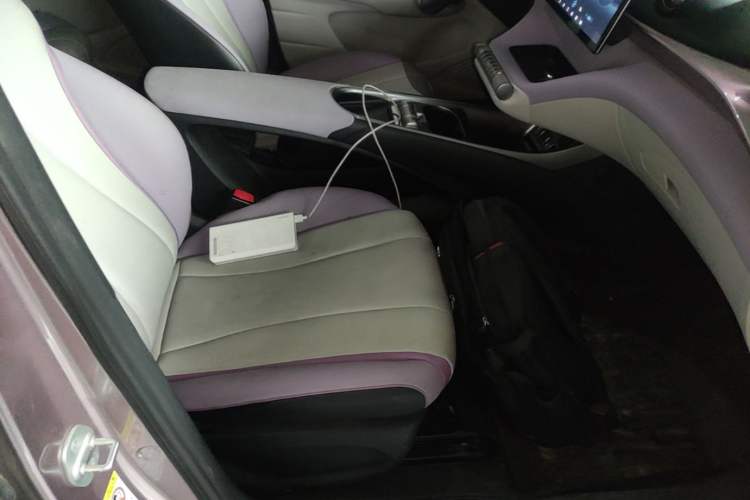 Used BYD Dolphin 2021 405 km Fashion Edition Right Front Seat
