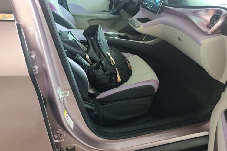 Used BYD Dolphin 2021 401km Knight Edition Right Front Seat