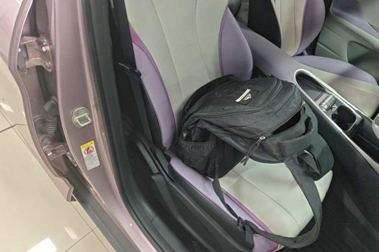 Used BYD Dolphin 2021 405 km Fashion Edition Right Front Seat