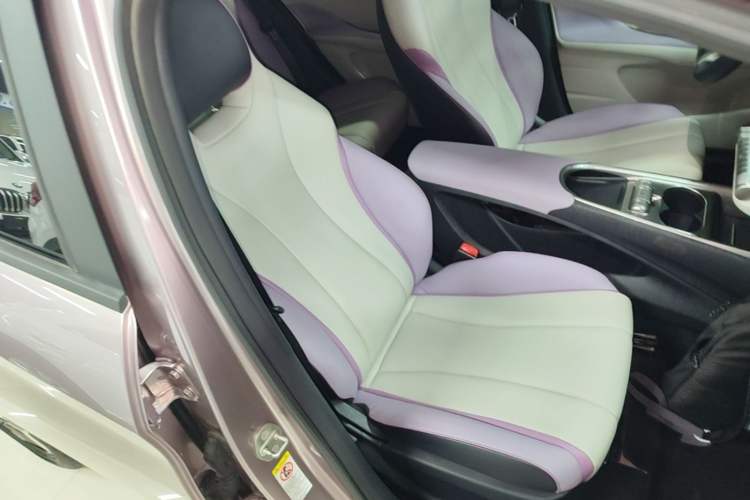 Used BYD Dolphin 2021 405 km Fashion Edition Right Front Seat