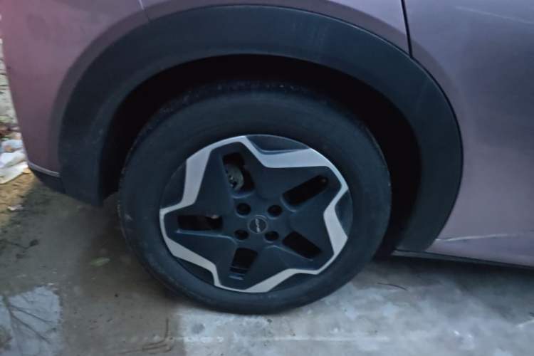 Used BYD Dolphin 2021 405 km Fashion Edition Right Rear Wheel Hub