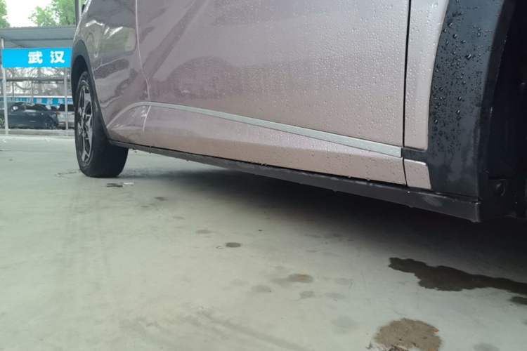 Used BYD Dolphin 2021 405 km Fashion Edition Right Side Sill