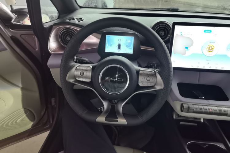 Used BYD Dolphin 2021 405 km Fashion Edition Steering Wheel