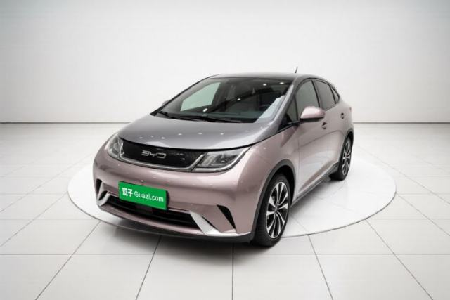 BYD Dolphin 2021 405 km Fashion Edition de segunda mano