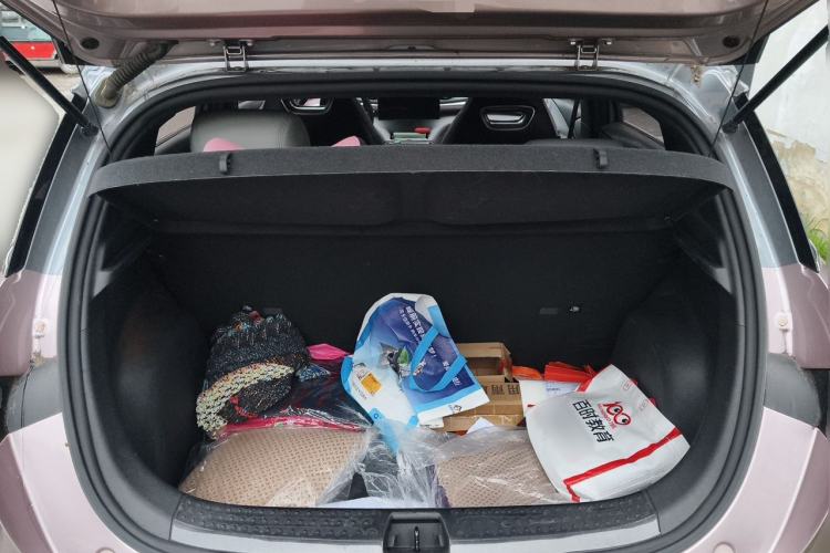 Used BYD Dolphin 2021 401km Knight Edition Trunk